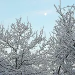 In Cascina *