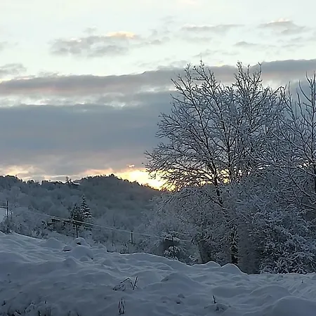 In Cascina * Casalborgone