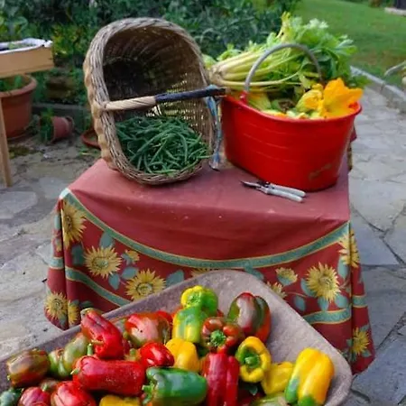 In Cascina * Casalborgone