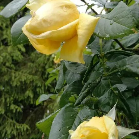 In Cascina شقة Casalborgone