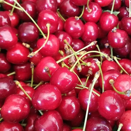 In Cascina Casalborgone