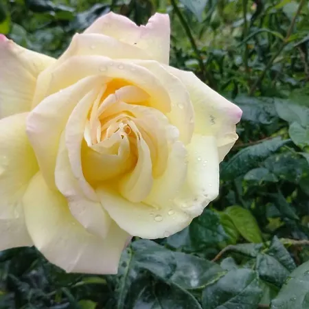 Appartamento In Cascina Casalborgone