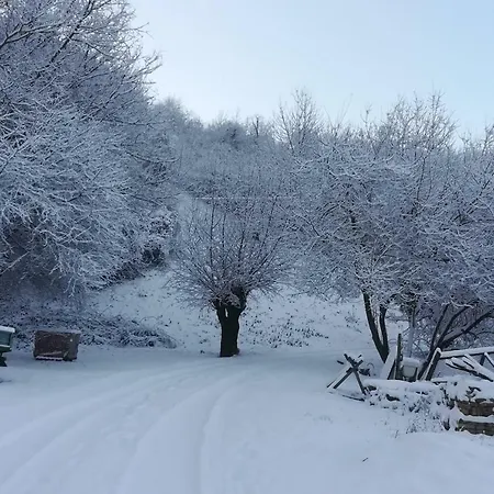 In Cascina * Casalborgone