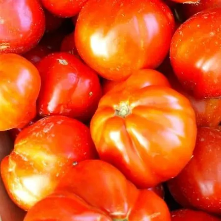 Appartamento In Cascina Casalborgone