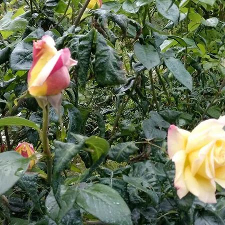 In Cascina Casalborgone